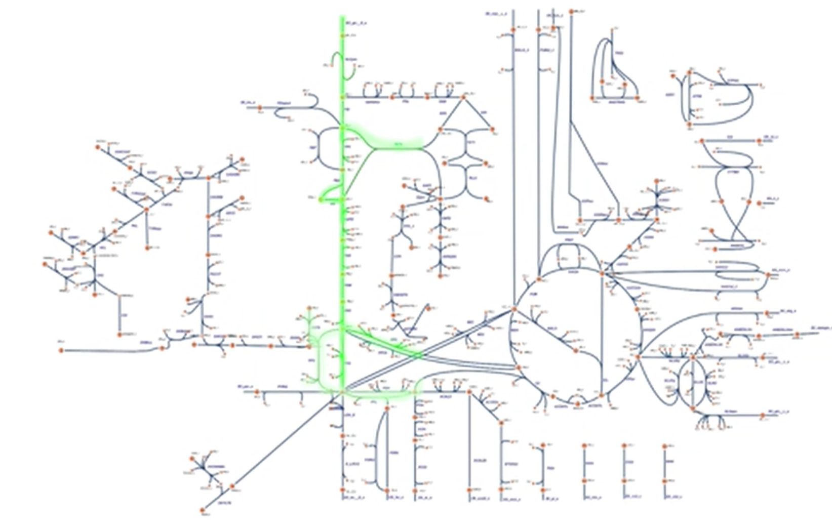 Metabolic Modeling